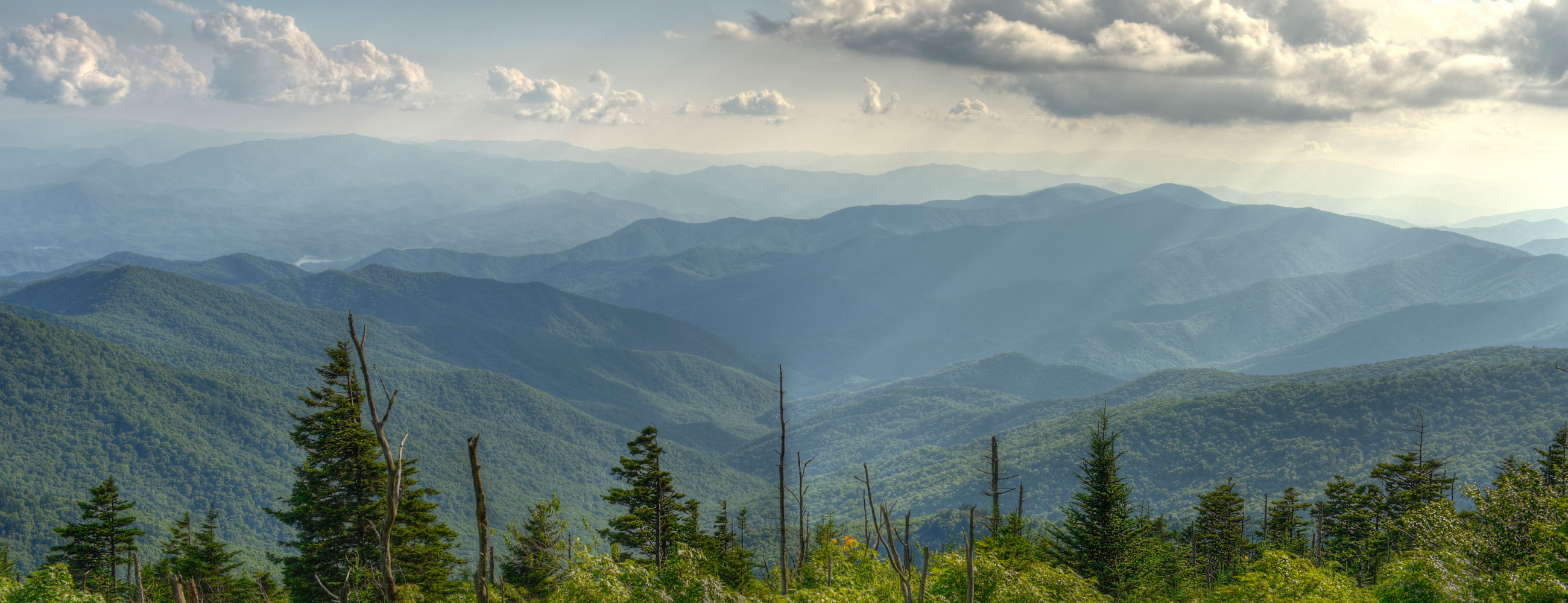 Zeenats divine Zeenats divine